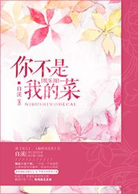 你不是我的菜dj