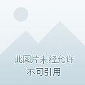 有关大家庭的传承格言