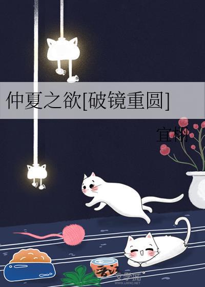 仲夏之恋是什么意思