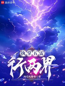 执掌五雷行两界TXT全本